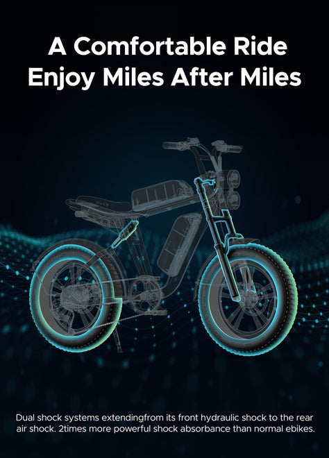M20 Motorcycle-styled Electric Bike